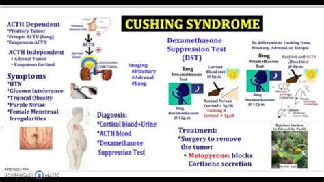 Cushing Syndrome Causes Symptoms Diagnosis Treatment Pathology In