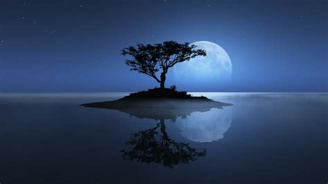 Tree Water Lonely Tree Full Moon Horizon Reflection Moon Island
