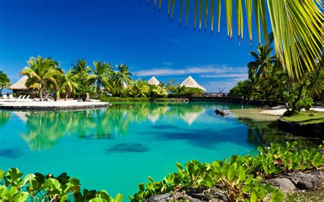 Tropical Paradise Palm Trees Sea Ocean Beach Sunshine 2560x1600