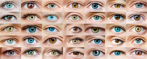 Formas De Ojos Active Vision Center
