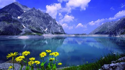 Landscape Lake Mountains Rock Flowers Wallpapers Hd 89352