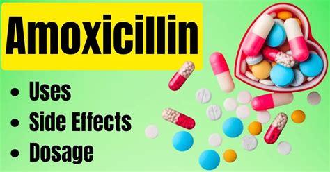 Amoxicillin Uses Side Effects Dosage Powerful Antibiotic