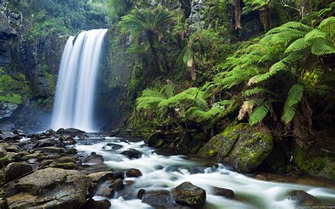 Wallpaper Landscape Waterfall Nature River Jungle Stream
