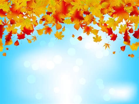 Premium Vector Autumn Leaves On Blue Sky