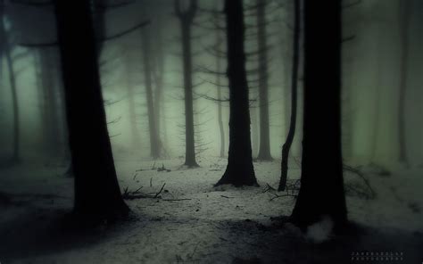 Dark Snowy Forest Wallpapers Top Free Dark Snowy Forest Backgrounds