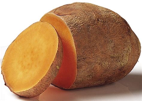 File5aday Sweet Potato Wikipedia