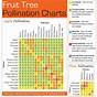 Pollinating Apple Trees Chart