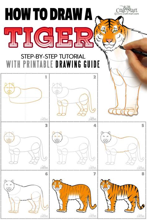 How to draw a tiger face step by step tutorials easy drawing for kidslearning how to draw a tiger face is very simple!in very little time, through a little. How to create a nice drawing of a tiger for beginners in ...