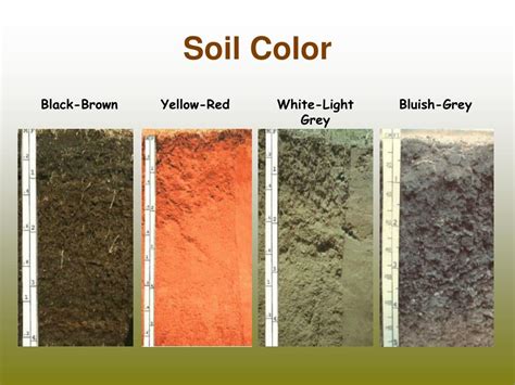 Ppt Physical Properties Of Soils Powerpoint Presentation Free