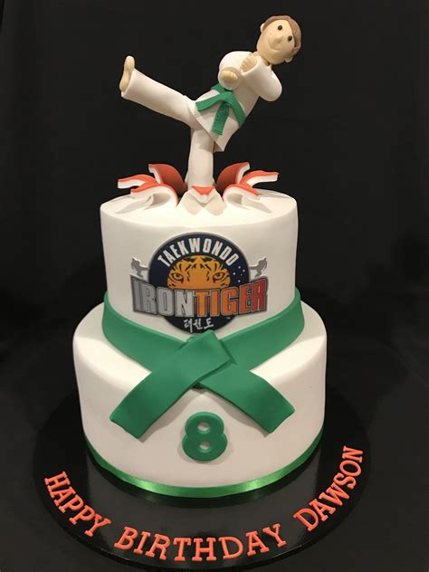 Pin By Angela Messineo On Cakes Cake Karate Cake Birthday Cake