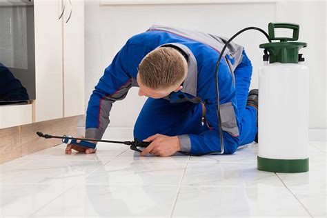 What Is The Difference Between Pest Control And Exterminator