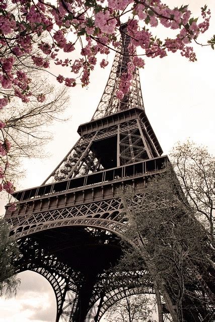 Eiffel Tower Love And Paris Image 649344 On