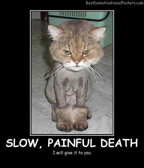 Good helps people understand, and solve, the greatest challenges of our time. Slow, Painful Death - Demotivational Poster