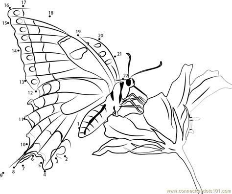 Butterfly On Flower Dot To Dot Printable Worksheet Connect The Dots