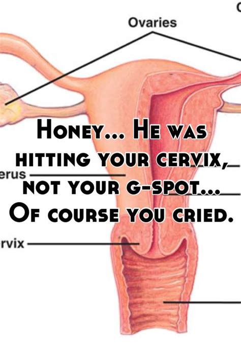 Honey He Was Hitting Your Cervix Not Your G Spot Of Course You