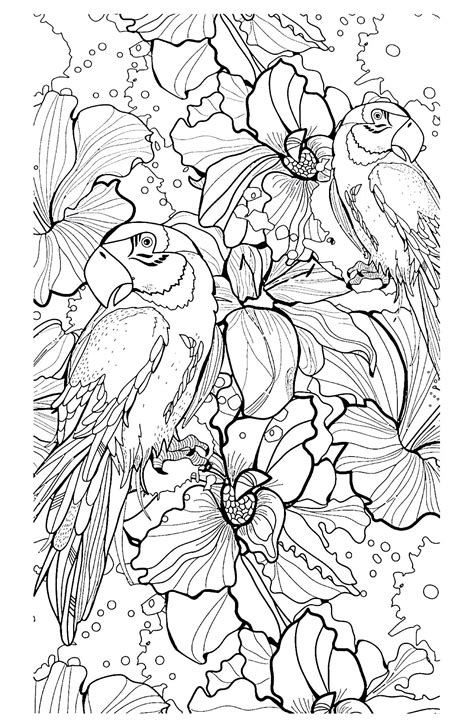 Difficult Bird Coloring Pages For Adults Clip Art Library
