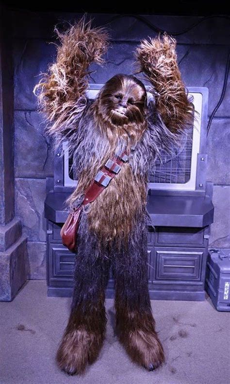 Chewbacca At Star Wars Launch Bay In Hollywood Studios Hollywood