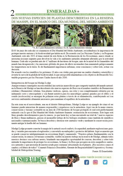 Dos Nuevas Especies De Plantas Descubiertas En La Reserva De Mashpi En