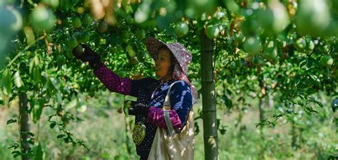 Thriving Industries for Prosperity | english.scio.gov.cn