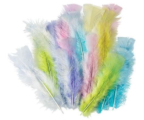Feathers Pastel Asst 10g Zartart Catalogue