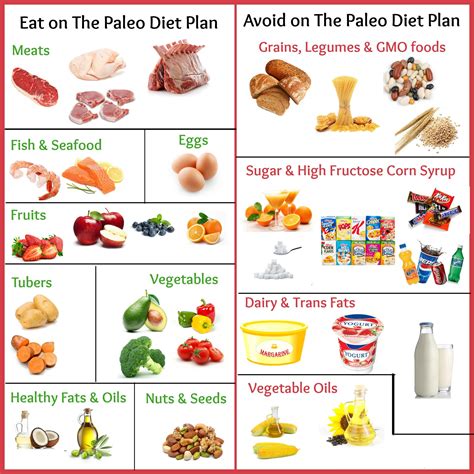 22 Ideas For Define Paleo Diet Best Recipes Ideas And Collections