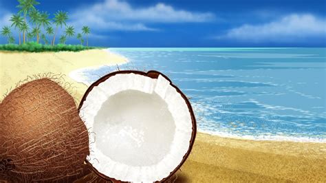 Coconout Summer Wallpapers Wallpaper Cave