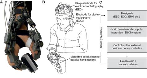 An Eegeog Based Hybrid Brain Neural Computer Interaction Bnci System