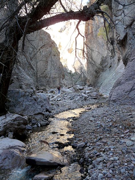 Mid Winter Hike In Southwest New Mexico Casitas De Gila Nature Blog