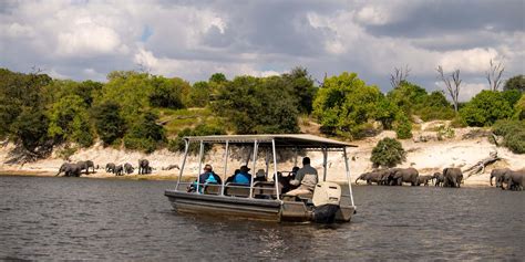 Zambezi Queen Luxury Houseboat In Botswana Yellow Zebra Safaris