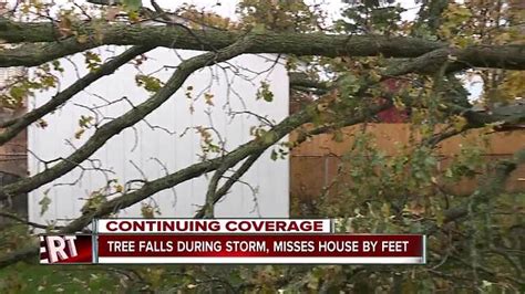 Tree Falls During Storm Misses House By Feet