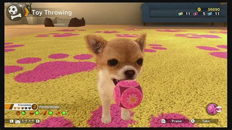 Little Friends Dogs And Cats Nintendo Switch Gameplay Youtube