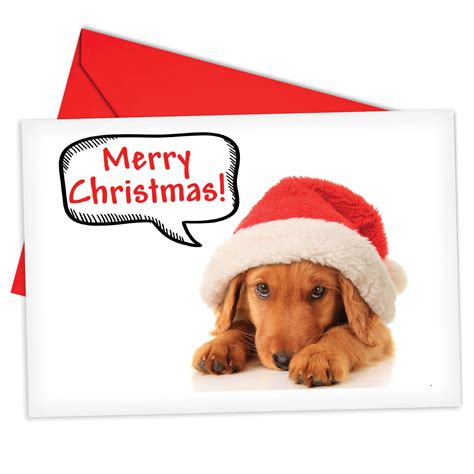 B6690gxsb Santa Pups Christmas Cards Box Set Of 12 Humor Merry