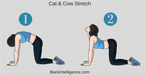 Posture Correction Exercises Upper Lower Back