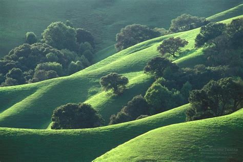 Green Hills In The San Francisco Bay Area Ca Today We Got Our First