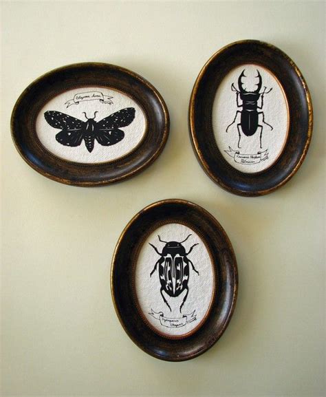 Diy Gilded Insect Faux Taxidermy Artofit