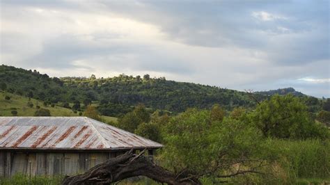 Lillybrook Camping Area (Western Trail Head) - Coulson QLD ...