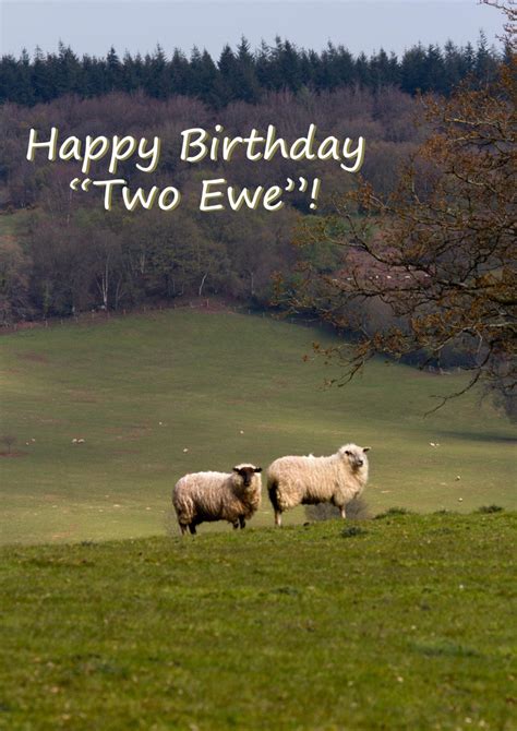 Happy Birthday Greeting Card Funny Saying Sheep Ewe Card Etsy Uk