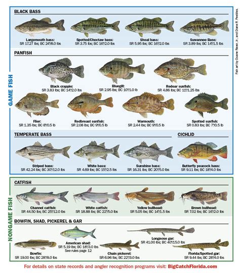 Freshwater Fish Of Florida Eregulations
