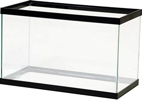 Best 10 Gallon Fish Tank In Depth Review For 2022 Fathers Work And