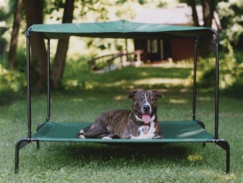 Giantex elevated dog bed with canopy, portable indoor outdoor pet cot for camping beach lawn, keep. Outdoor Large Dog Bed w Canopy - Raised | Pellos ...