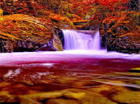 Autumn Forest Falls Nature Waterfall 745340 2560x1600 Waterfall