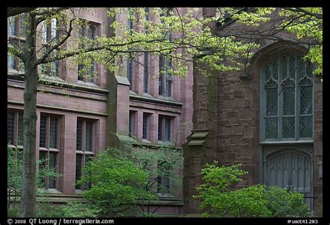 Picturephoto Old Campus Buildings Yale University New Haven