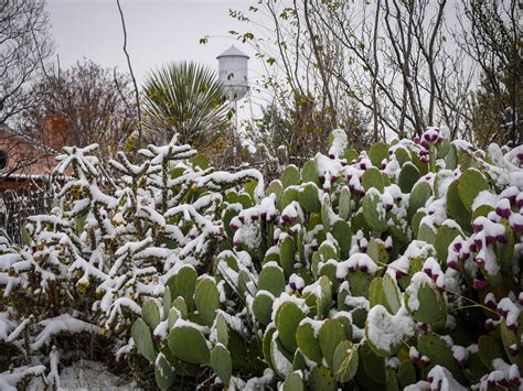 Capturing A West Texas Winter Wonderland Texas Monthly