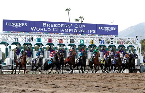 Theres Good Value In Betting Tiz The Law In The Breeders Cup A