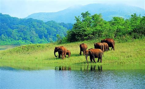 30 Wayanad Tourist Places 2023 Updated List With Photos