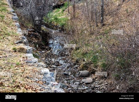 The Santa Fe River Flows Through The Wilderness Stock Photo Alamy