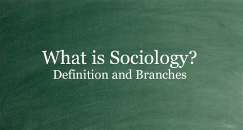 What Is Sociology Definition And Its Branches Philnews