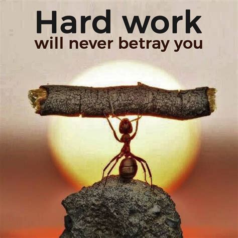 Inspirational Quote About Hard Work Inspiration