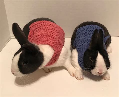 Rabbit Clothes Rabbit Sweater Rabbit Costume Sweater For Etsy