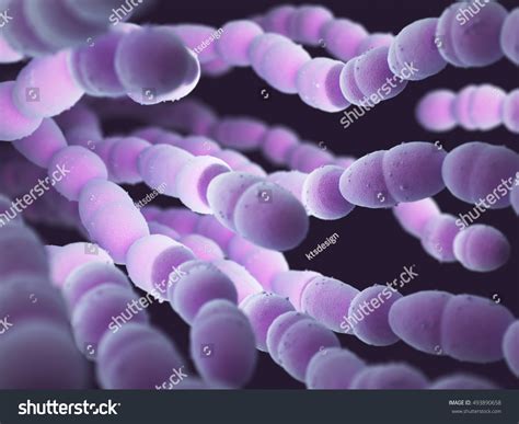 3d Illustration Streptococcus Pneumoniae Pneumococcus That Stock